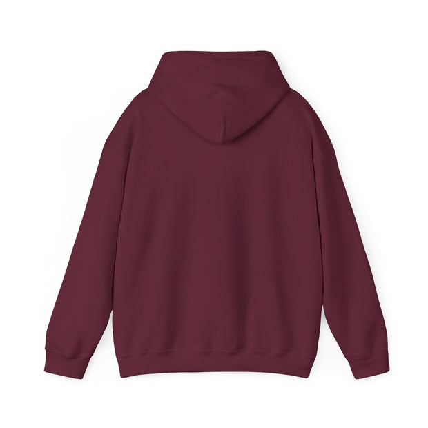 cozy hooded sweatshirt