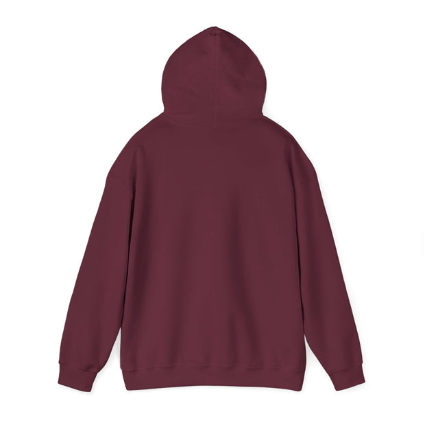 cozy hooded sweatshirt